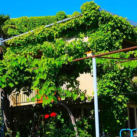 Guest House Green Veranda Mtskheta Exterior photo