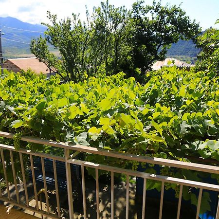 Guest House Green Veranda Mtskheta Exterior photo
