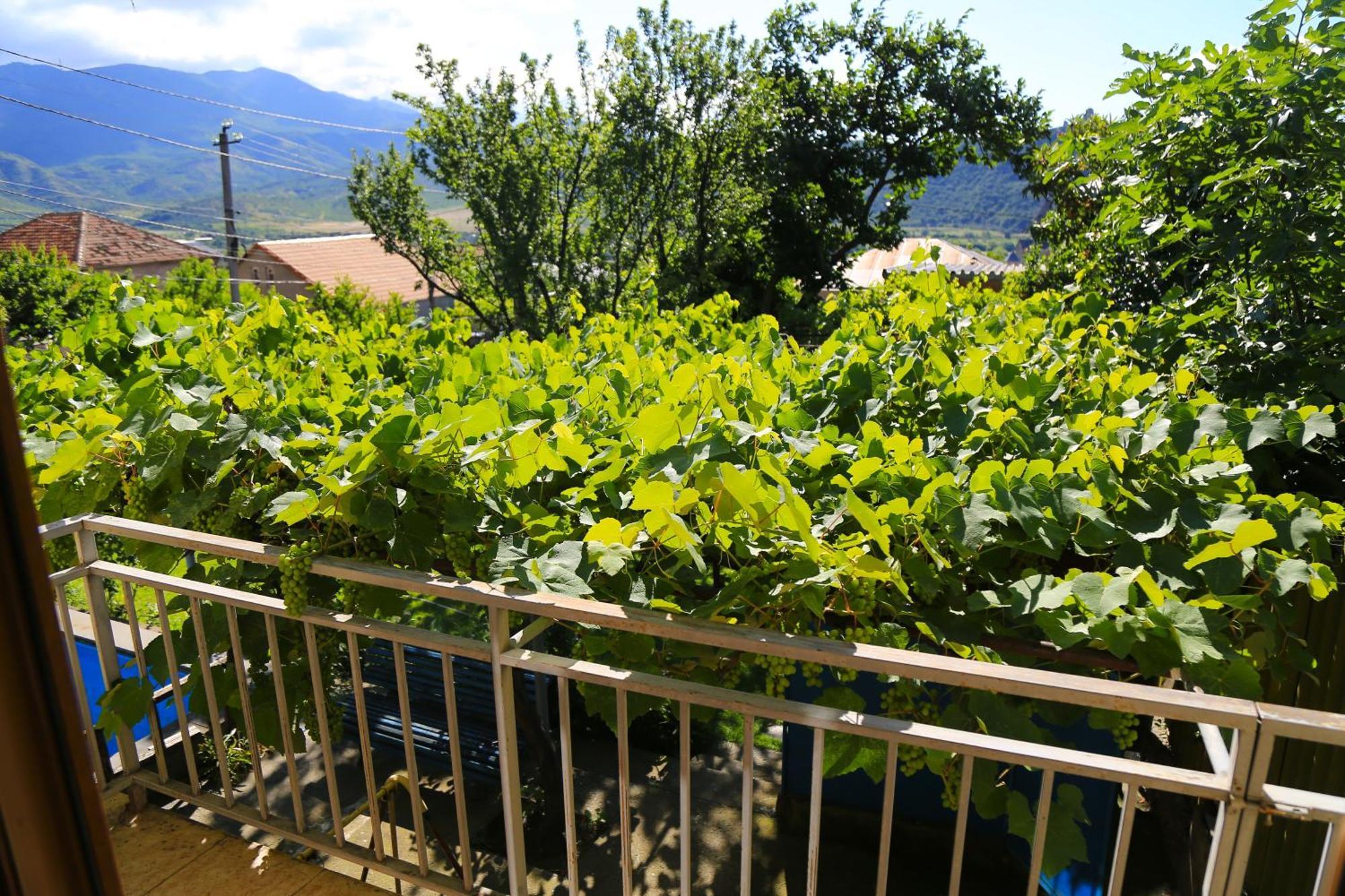 Guest House Green Veranda Mtskheta Exterior photo