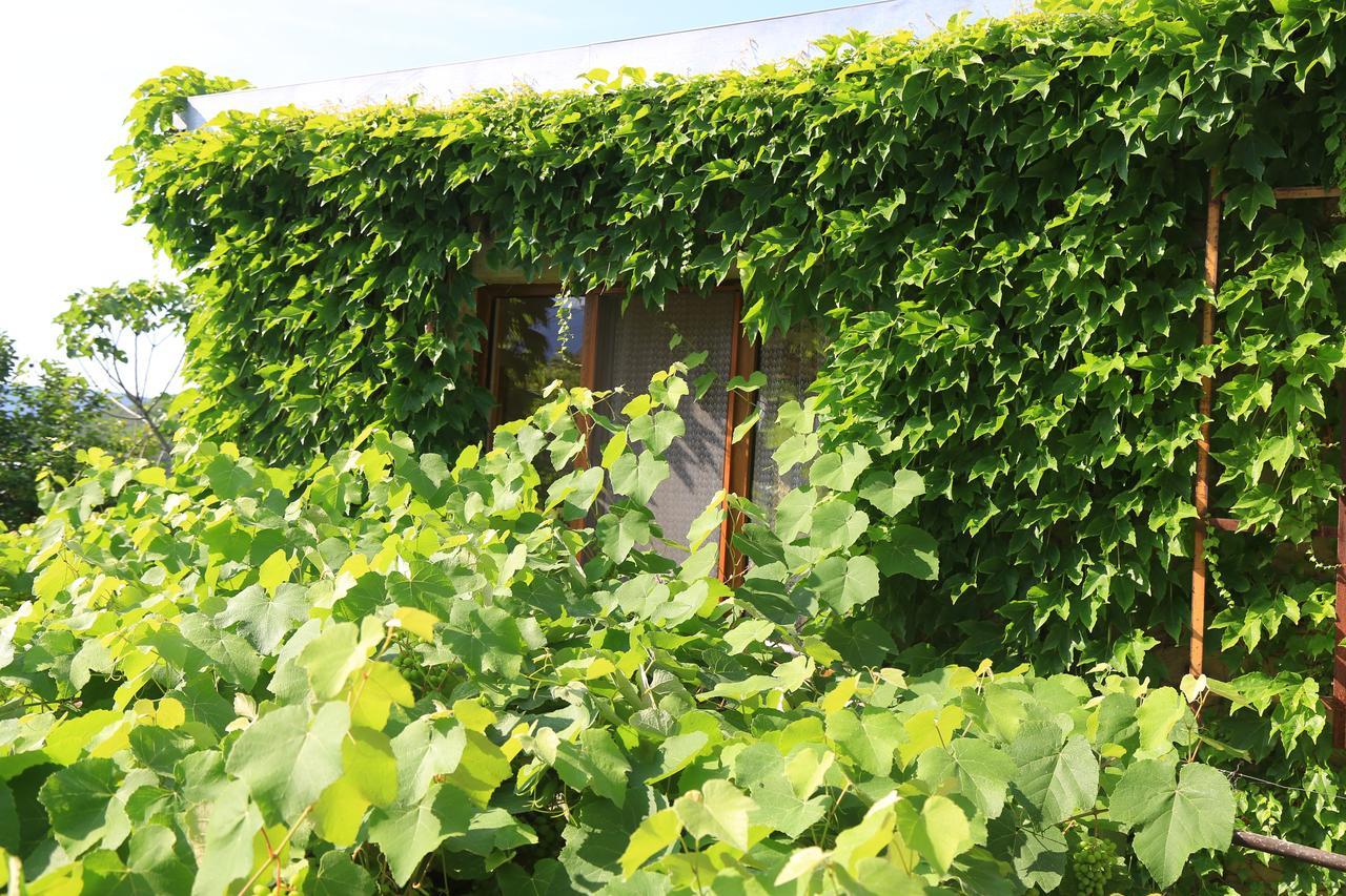Guest House Green Veranda Mtskheta Exterior photo