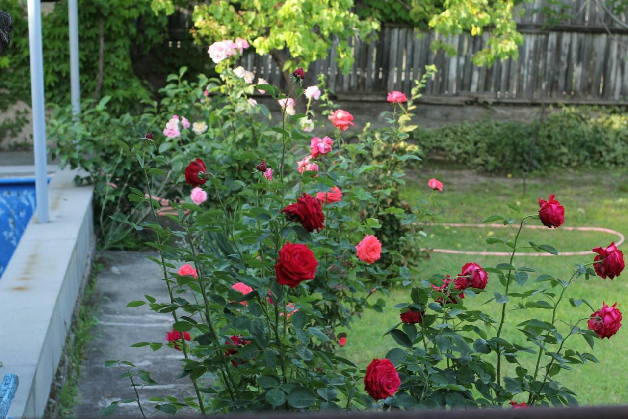 Guest House Green Veranda Mtskheta Exterior photo